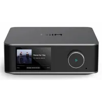 WIIM Ultra Music Streamer & Digital Preamp, 3.5 Touchscreen, Space Gray